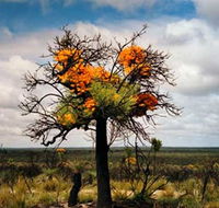 The Delmar Gallery - Melbourne Tourism