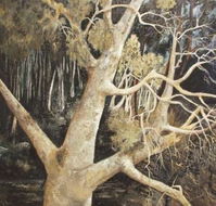 Ku-Ring-Gai Art Centre  Gallery - Melbourne Tourism