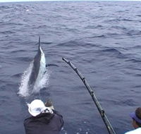 Amokura Charters - Melbourne Tourism