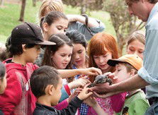 Blackbutt Reserve - Melbourne Tourism 2