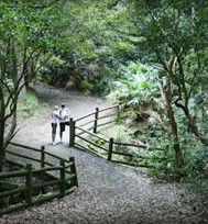 Blackbutt Reserve - Melbourne Tourism 3