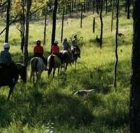 Hunter Valley Horse Riding and Adventures - Melbourne Tourism