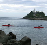 Newcastle Kayak Tours - Melbourne Tourism