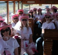 Newcastles Famous Tram - Melbourne Tourism