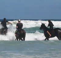 Pegasus Park Equestrian Centre - Melbourne Tourism
