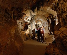 Country Charmâ„¢ Discovery Tours - Melbourne Tourism 3