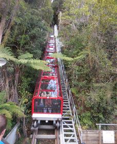 Country Charmâ„¢ Discovery Tours - Melbourne Tourism 6