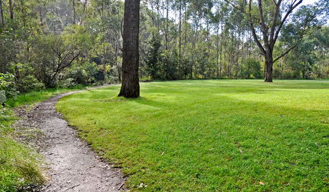 Riverside Walking Track - Melbourne Tourism 3