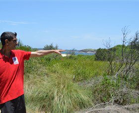 Kadoo Tours - Melbourne Tourism 0