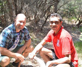Kadoo Tours - Melbourne Tourism 2