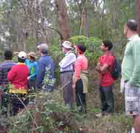 Boronia Tours - Melbourne Tourism
