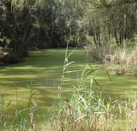 Second Ponds Creek walk - Melbourne Tourism