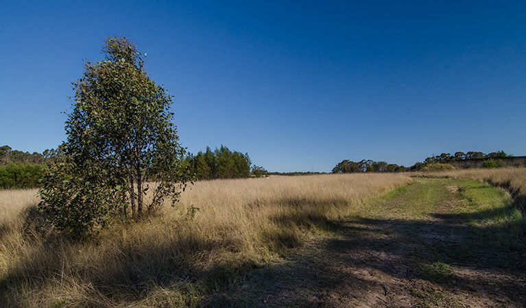 Oakville NSW Melbourne Tourism