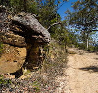 Canoelands Ridge walking track - Melbourne Tourism