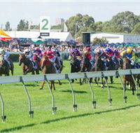 Morphettville Racecourse - Melbourne Tourism