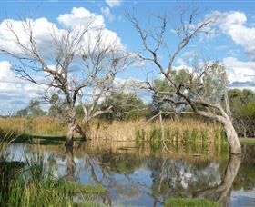 Lagoon Creek - Melbourne Tourism 0