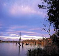 Loch Luna Game Reserve and Moorook Game Reserve - Melbourne Tourism