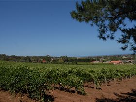 Grancari - Melbourne Tourism 0