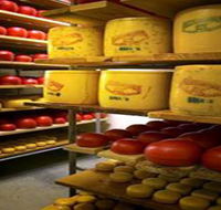 Alexandrina Cheese Company - Melbourne Tourism