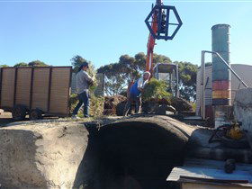 Emu Ridge Eucalyptus - Melbourne Tourism 1
