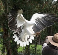 Raptor Domain - Melbourne Tourism