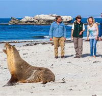 Seal Bay Conservation Park - Melbourne Tourism