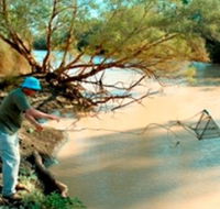 Charleville - Ward River Fishing Spot - Melbourne Tourism