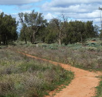 Grasslands Nature trail - Melbourne Tourism