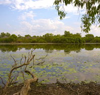 Yurmikmik Walks - Melbourne Tourism