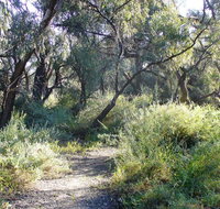 Nilla Yannagalang Billana - Melbourne Tourism