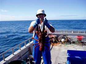 Lacepede Seafood - Melbourne Tourism 2