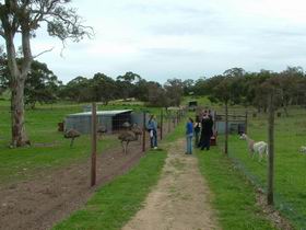 Avenue Range ACT Melbourne Tourism