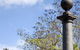 Darwin Cenotaph War Memorial - thumb 0