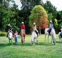 Limestone Coast Horseriding - Melbourne Tourism