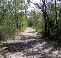 Lanky's Walk - Melbourne Tourism
