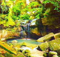Carnarvon Gorge Carnarvon National Park - Melbourne Tourism