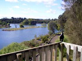 Lake McIntyre - Melbourne Tourism 0