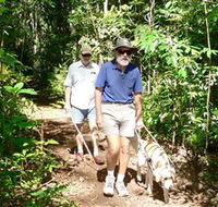 Wongabel State Forest - Melbourne Tourism