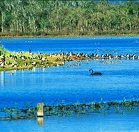 Hasties Swamp National Park - Melbourne Tourism