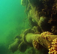 Wreck Diving at Magnetic Island - Melbourne Tourism