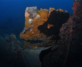 Lady Bowen Dive Site - Melbourne Tourism 0