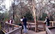 Valley Lake Conservation Park - thumb 1