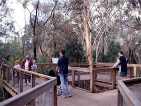 Valley Lake Conservation Park - Melbourne Tourism 1