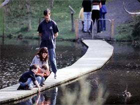 Valley Lake Conservation Park - Melbourne Tourism 2