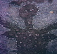 Quinkan Reserves Ancient Rock Art - Melbourne Tourism