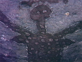 Quinkan Reserves Ancient Rock Art - Melbourne Tourism 0