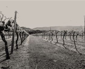 Mount Dryden VIC Melbourne Tourism