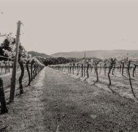 Halls Gap Estate - Melbourne Tourism