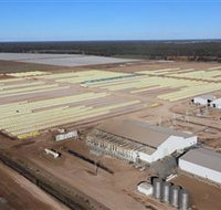 Southern Cotton Gin