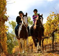 Billabong Ranch - Melbourne Tourism